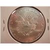 Image 2 : 2014 AMERICAN SILVER EAGLE UNC