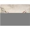 Image 1 : Wigand, Friedrich (Szentpétervár, 1800 - Róma, 1853) Bécsi utca, 1852…