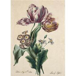 Semsey Zsófia jelzéssel, 19. sz. közepe  Tulipánok és más virágok, 1832…