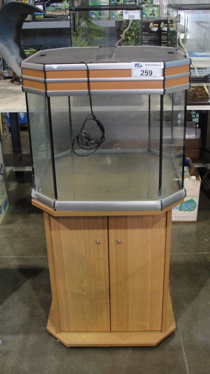 OCTAGON SHAPED AQUARIUM/ TERRARIUM TANK WITH NATURAL COLOUR WOOD ...