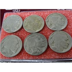 A Herd of Buffalo Nickels