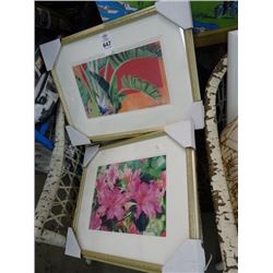 2 Framed Floral by Sedolini - 2 Times the Money