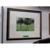 Image 1 : Well framed double matted print