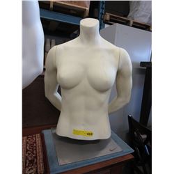 Nike Brand - Female Mannequin torso