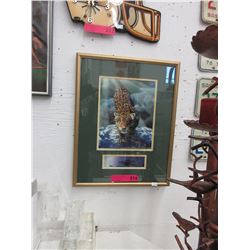 Framed print of a leopard