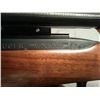 Image 2 : ruger 10/22