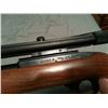 Image 3 : ruger 10/22