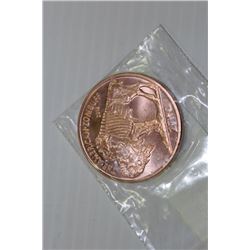 1 OZ PURE COPPER ZOMBIE BUFFALO COINS X2