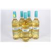 Image 1 : FIVE BOTTLES OF 2014 TWO OCEANS PINOT GRIGIO WHITE