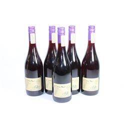 FIVE BOTTLES OF 2013 CONO SUR PINOT NOIR 14%