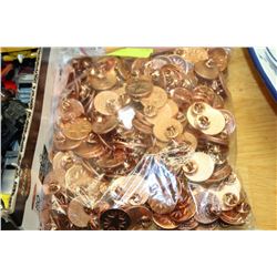 BAG OF COPPER STYLE PINS