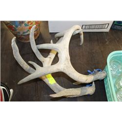 PAIR OF DEER ANTLERS