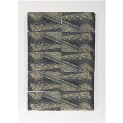Maurine Farmer, Slanted Bars, Lithograph