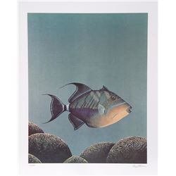 Richard Ellis, Trigger Fish, Lithograph