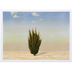 John Beerman, Cedar Tree, Israel, Lithograph