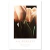 Image 1 : Tulips by A.A. Burnett