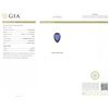 Image 4 : 14KT White Gold GIA Certified 8.63ct Tanzanite and Diamond Pendant With Chain