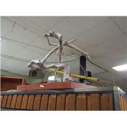 DRIFT WOOD ART - BIRD PERCH - SIGNED BY ARTIST