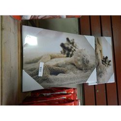 CANVAS WALL ART -8" X 12"  - 10 PER LOT - SHELLS