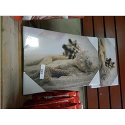 CANVAS WALL ART -8" X 12"  - 10 PER LOT - SHELLS