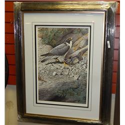 FRAMED LIMITED EDITION PRINT - REUGRINE FALCON - TERRANCE J BOND - GALLERY ESTIMATE - $675 **** ARTI