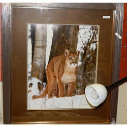 FRAMED - HAND SIGNED OPEN EDITON - BLUE EYES - JAMES T JONES - GALLERY ESTIMATE - $675