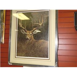 FRAMED LIMITED EDITION PRINT - PEACEFUL - WHITE TAILED DEER - JORGE MAYOL -GALLERY ESTIMATE - $625