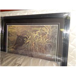 FRAMED LIMITED EDITION PRINT - PRIDE OF THE AMAZON - DENIS MAYER JR - GALLERY ESTIMATE - $825