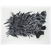 Image 1 : Donald Sultan, Black Roses, Silkscreen
