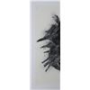Image 2 : Donald Sultan, Black Roses, Silkscreen