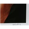 Image 3 : Jerry Schatzberg, Tooth (Bob Dylan), Color Photograph
