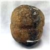 Image 2 : Mimbres Prehistoric Stone Maul
