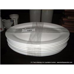 LOT: ROUND DINING PLATES 9X MONEY