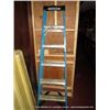Image 1 : WERNER LADDER