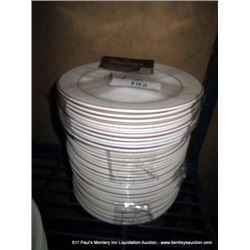 LOT: PLATES 40X MONEY