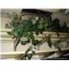 Image 1 : LOT: DECORATIVE PLANTS