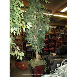 DECORATIVE PLANT W/ WICKER POT