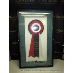 13"X21" FRAMED RIBBON