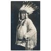Image 6 : Lot of 9 photo postcards of Native Americans  including a cut out of Geroni