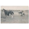 Image 13 : Great lot of 21 early postcard photos of Rodeo  action, most identified as