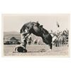 Image 14 : Great lot of 21 early postcard photos of Rodeo  action, most identified as