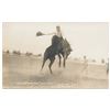Image 17 : Great lot of 21 early postcard photos of Rodeo  action, most identified as