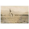 Image 20 : Lot of 21 great early postcard photos of Rodeo  events, most identified, fr