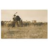 Image 7 : Lot of 21 great early postcard photos of Rodeo  events, most identified, fr