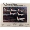 Image 2 : Framed color photo of the U.S. Air Force  Thunderbirds flying in formation