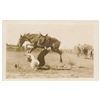 Image 15 : Bonanza lot of 22 early Rodeo-related photo  postcards including ones ident