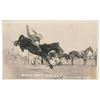 Image 2 : Bonanza lot of 22 early Rodeo-related photo  postcards including ones ident