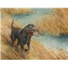 Image 2 : Framed and matted watercolor of a retriever and  mallard by Charles E. Murp