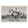 Image 15 : Bonanza lot of 30 postcards, photo postcards  and photos of Western cowboys