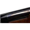 Image 5 : *Weatherby Patrician Model pump action  shotgun, 12 gauge, serial #NS02219.